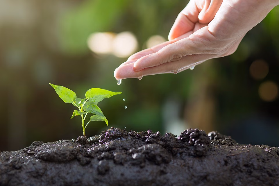 Nurturing Leads Like a Pro: How CRM Transforms Your Sales Strategy