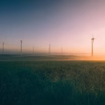 Transitioning to Digital: A Lawyer’s Guide to Eco-Conscious Networking