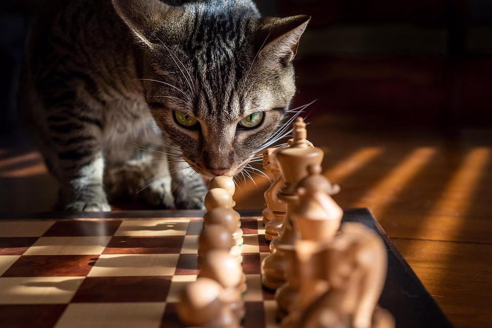 Boost Your Strategy: Essential Inbound Marketing Tools for Every Business