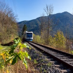 Integrating Sustainability: How SaaS Companies Are Going Green