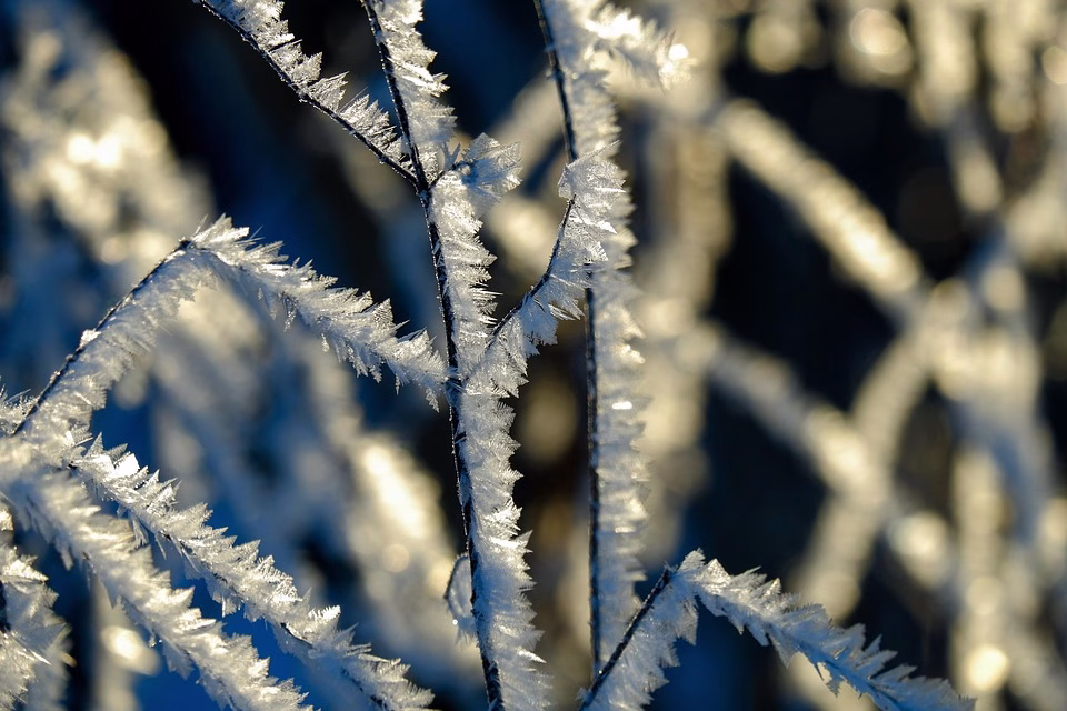 From Cold Calls to Hot Leads: Innovative Tactics for Today’s Market