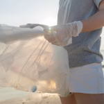 Sustainability in SaaS: How Eco-Conscious Businesses are Shaping Development