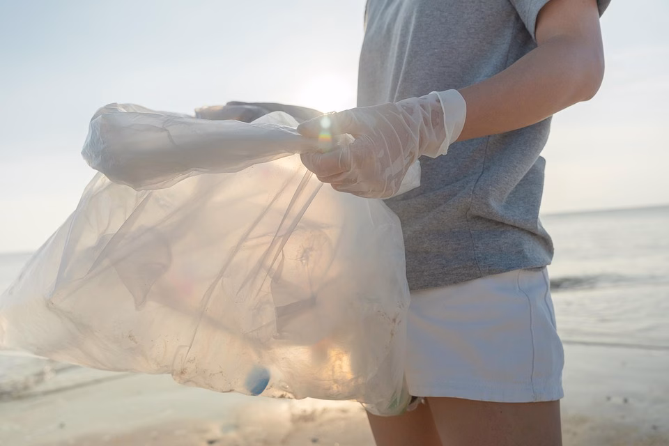 Sustainability in SaaS: How Eco-Conscious Businesses are Shaping Development Sustainability in SaaS: How Eco-Conscious Businesses are Shaping Development