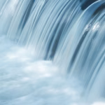 Level Up Your Business: Innovative Management Tools to Enhance Productivity