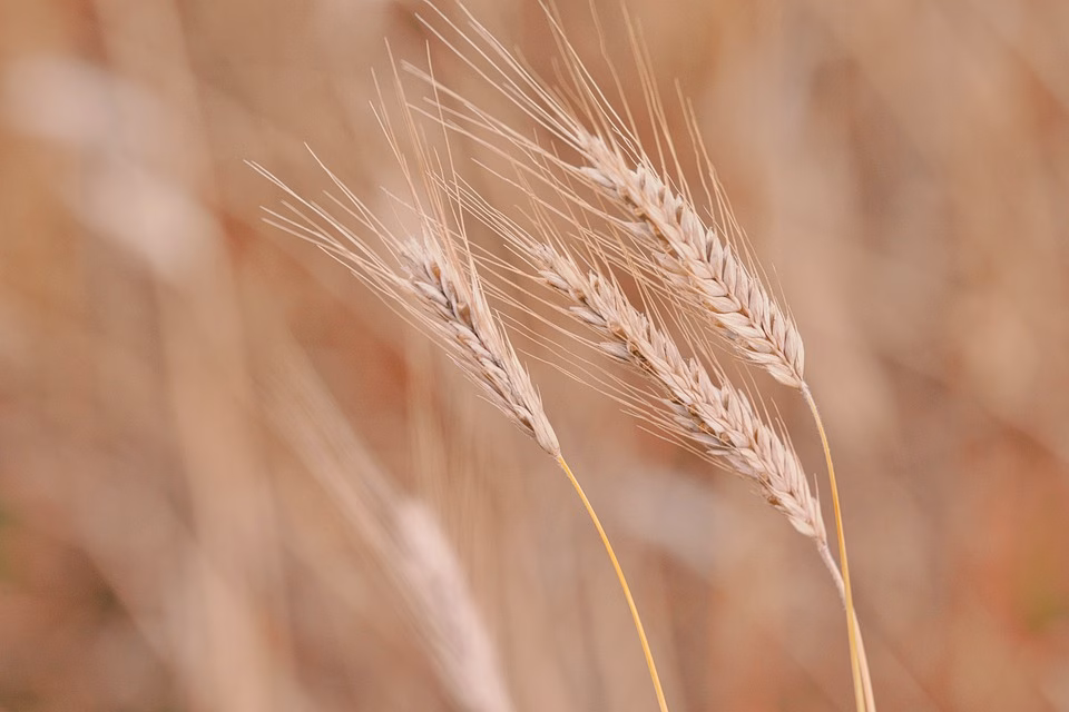 Unlocking Growth: How HubSpot Transforms Marketing Strategies