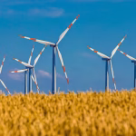 Sustainable Software: How Eco-Friendly Solutions are Transforming Business Operations