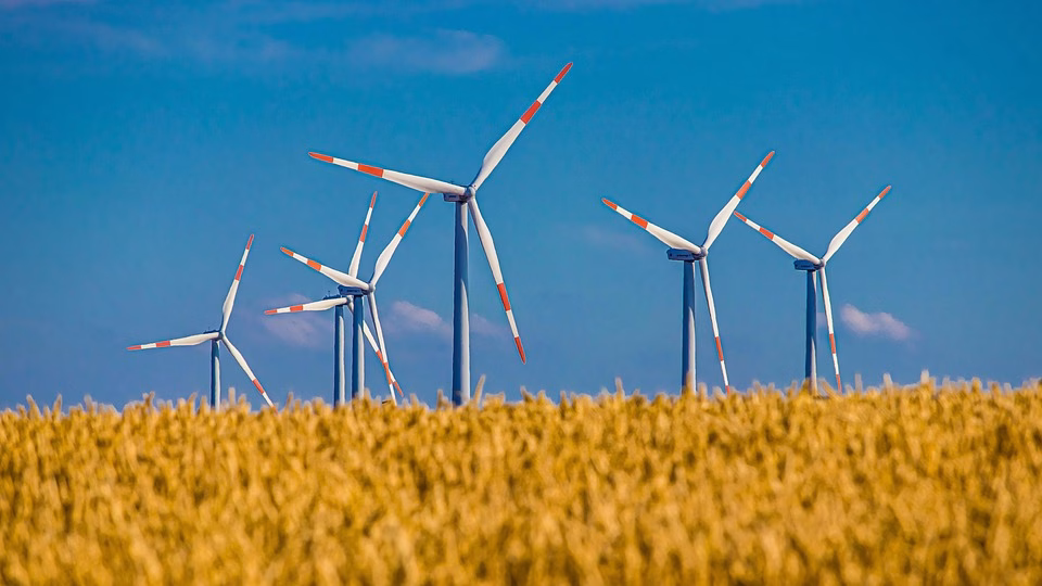 Sustainable Software: How Eco-Friendly Solutions are Transforming Business Operations Sustainable Software: How Eco-Friendly Solutions are Transforming Business Operations
