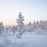 Beyond Cold Calls: Innovative Features of Modern B2B Lead Generation Software