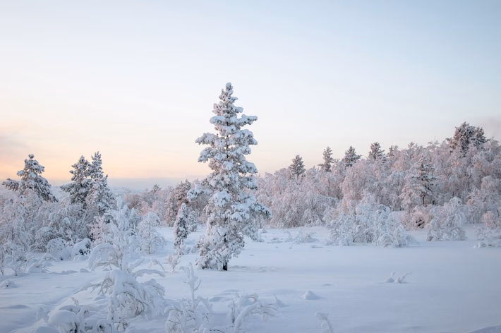 Beyond Cold Calls: Innovative Features of Modern B2B Lead Generation Software