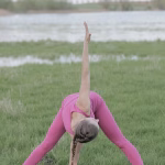 Asana vs. Competitors: Which Project Management Tool Reigns Supreme?