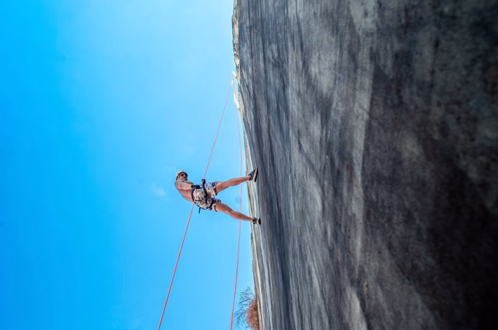 The Future of Resilience: How to Build a Robust Business Continuity Framework
