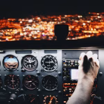 Navigating the AI Wave: Strategies for Software Companies in the New Era