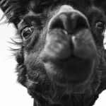 Navigating Xero: The Good, the Bad, and the In-Between