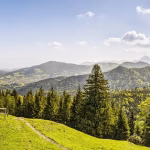 Cloud Security: Safeguarding Data in a Digital Landscape