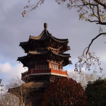 Building a Fortress: Strategies for Implementing Data Protection Software in Your Business