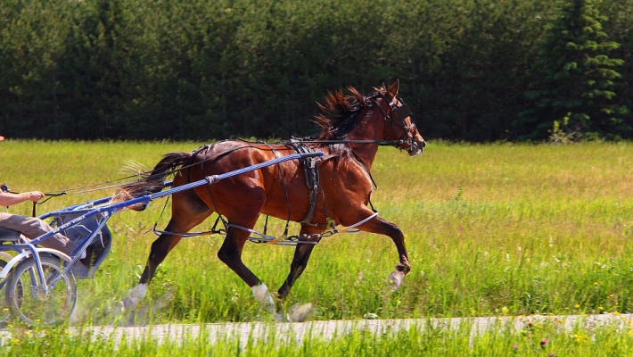 Harness the Power of Smart Goals: The Tracking Tool That Changes the Game