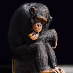 The Evolution of Zero Trust: Key Trends to Watch in 2025