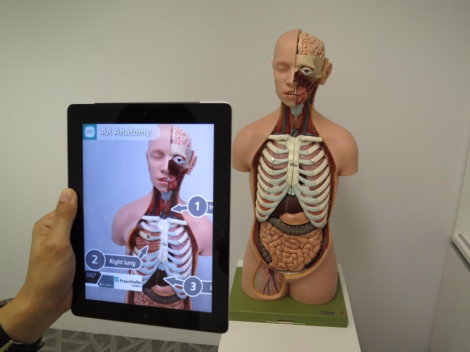From AI to Augmented Reality: The Exciting App Innovations of 2025 From AI to Augmented Reality: The Exciting App Innovations of 2025