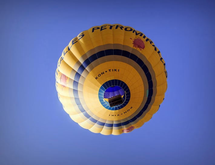 Navigating Turbulence: How Resilience Drives Business Innovation