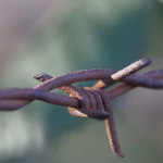 Unlocking Security: How Encryption Software Safeguards Your Data