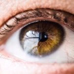 From Vision to Launch: [Startup Name] Unveils Its Fintech Solution for Small Businesses
