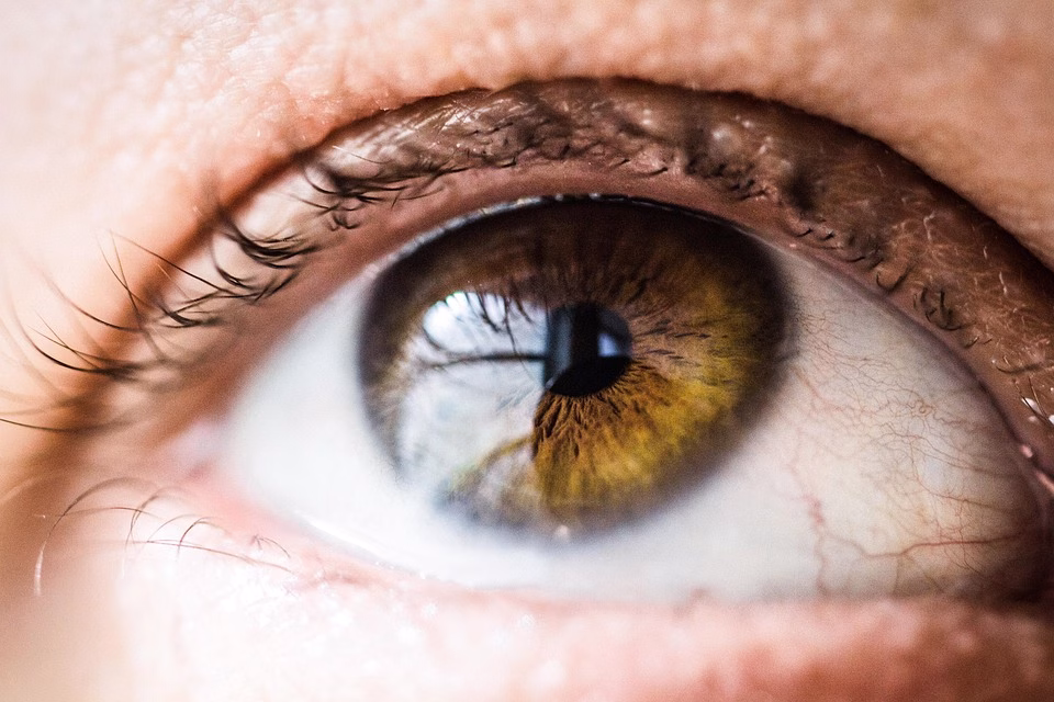 From Vision to Launch: [Startup Name] Unveils Its Fintech Solution for Small Businesses