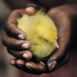 Nurturing Loyalty: The Essential Guide to Customer Retention Tactics
