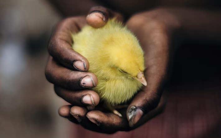 Nurturing Loyalty: The Essential Guide to Customer Retention Tactics