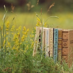 From Essays to Novels: The AI Writing Assistants Taking the Literary World by Storm