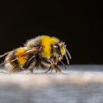 Beyond the Buzz: Real Success Stories from Companies Using Productivity Software