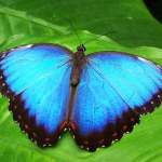 Five Common Myths About Hybrid Cloud Debunked