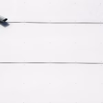Beyond Video Calls: Zoom and Skype’s Role in 2025’s Digital Workplace