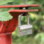 Secure, Fast, and User-Friendly: The Best File Sharing Apps Reviewed