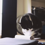 Time Management Mastery: Hacks That Will Change How You Work Forever
