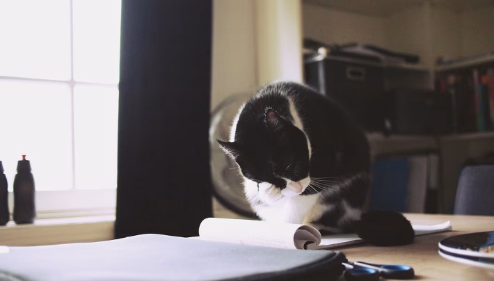 Time Management Mastery: Hacks That Will Change How You Work Forever