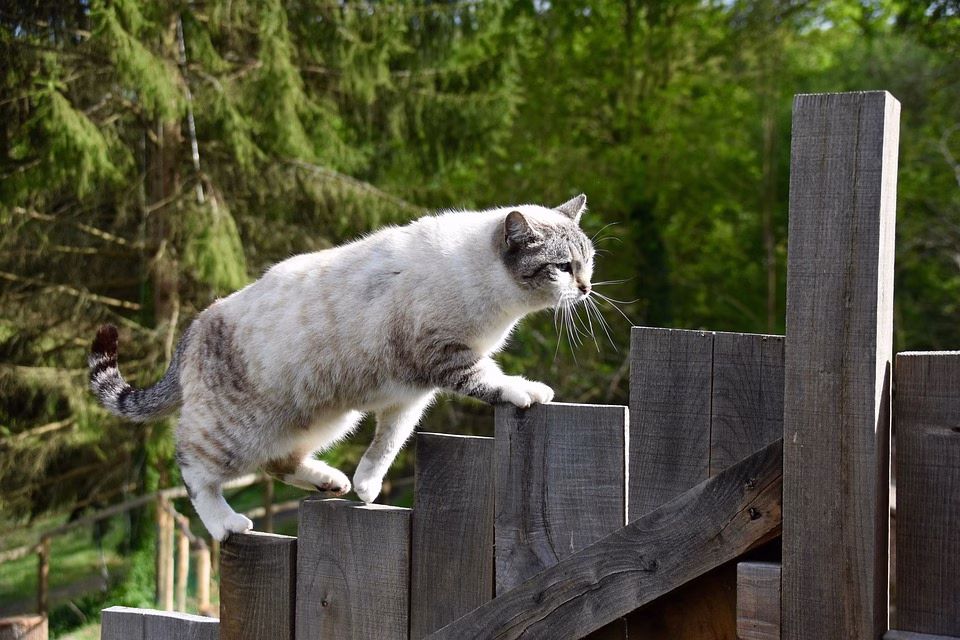 Agile CRMs vs. Traditional CRMs: What You Need to Know