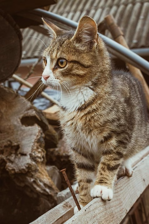 Exploring the Best HubSpot CRM Alternatives: Find the Right Fit for Your Business Exploring the Best HubSpot CRM Alternatives: Find the Right Fit for Your Business
