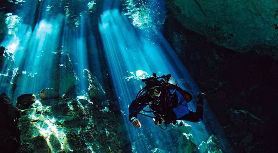 Diving into Data: Using Analytics to Drive Business Growth