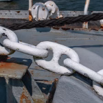 Navigating the Best ‘Link in Bio’ Tools: What Digital Marketers Need to Know