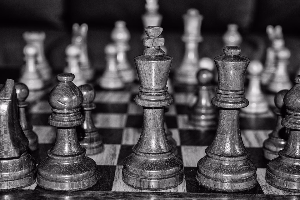 Strategies and Software: CEO Opinions on the Future of Tech Strategies and Software: CEO Opinions on the Future of Tech