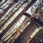 Navigating Salesforce CRM: Overcoming Common Challenges and Pitfalls