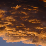 Cloud Computing and Cost Efficiency: A Financial Planner’s Perspective on Server Control