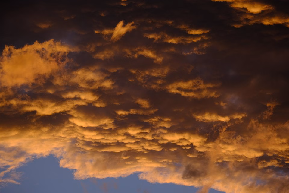 Cloud Computing and Cost Efficiency: A Financial Planner’s Perspective on Server Control