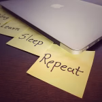 From Debugging to Design: A Day in the Life of a Software Developer