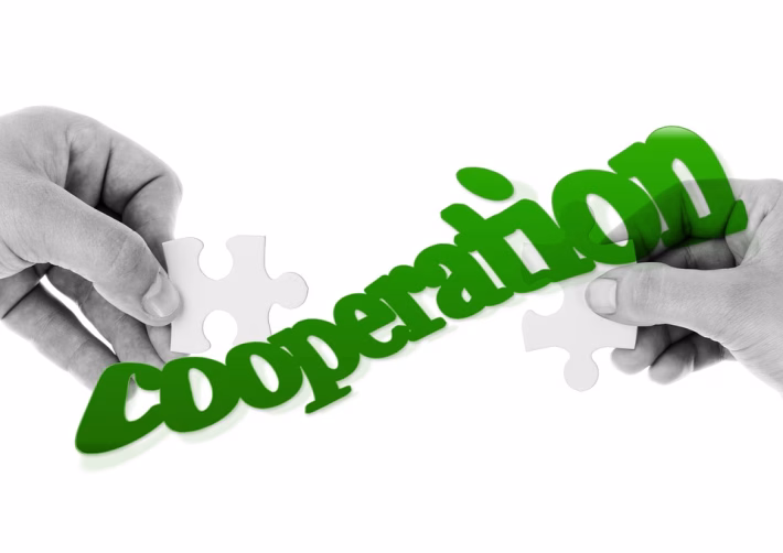 Unlocking Potential: The Best Collaboration Software for Creative Teams