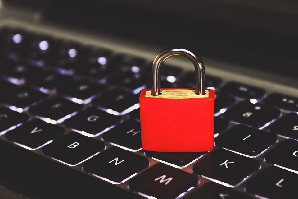 Cybersecurity 101: Must-Have Software to Safeguard Your Data Cybersecurity 101: Must-Have Software to Safeguard Your Data