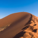 2025’s VC Climate: How Economic Changes are Reshaping Investment Strategies