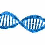 Decoding DNA: The Impact of Artificial Intelligence on Genomic Research