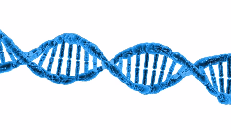 Decoding DNA: The Impact of Artificial Intelligence on Genomic Research Decoding DNA: The Impact of Artificial Intelligence on Genomic Research