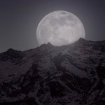 2025 SaaS Revolution: Top Products Reshaping Industries Today